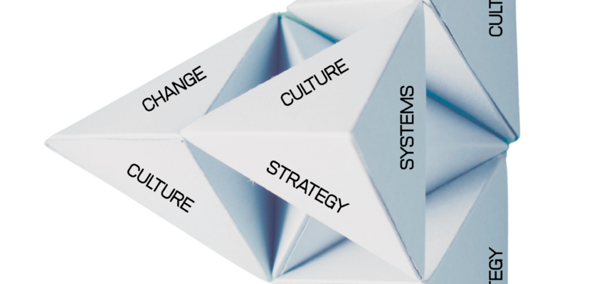 Reflection 5 – Change and Change Agents